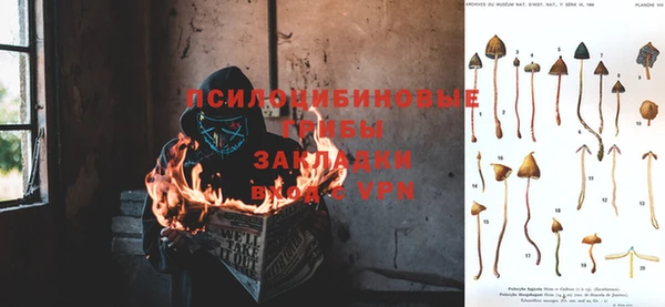 ешки Майский
